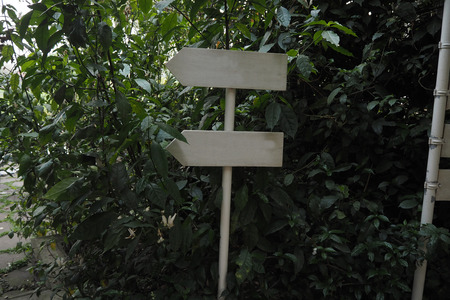 The white sign in the green garden の写真素材