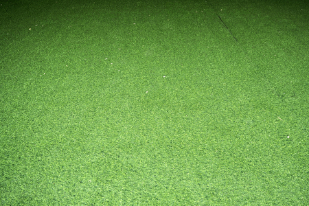 green grass backgroud look so nice and beautyfulの写真素材