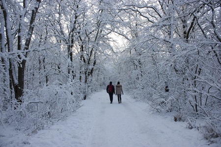 People walk in the woods in the winter. A lot of snow, fairytale nature. Boy and girl. A young couple. Lovers walk in nature.の写真素材