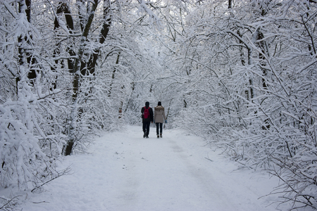 People walk in the woods in the winter. A lot of snow, fairytale nature. Boy and girl. A young couple. Lovers walk in nature.の写真素材