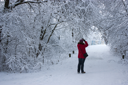 People walk in the woods in the winter. A lot of snow, fairytale nature.の写真素材