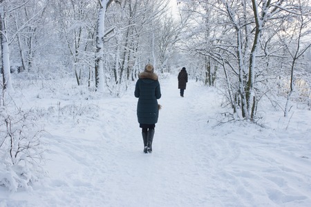 People walk in the woods in the winter. A lot of snow, fairytale nature.の写真素材