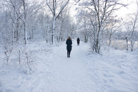 People walk in the woods in the winter. A lot of snow, fairytale nature.の写真素材