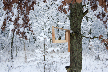 bird feeder hangs on a tree in the winter. A lot of snow.の写真素材