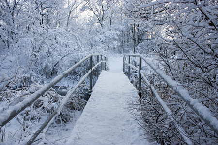Beautiful bridge in the forest in winter. A lot of snow, nature as in a fairy tale.の写真素材