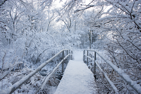 Beautiful bridge in the forest in winter. A lot of snow, nature as in a fairy tale.の写真素材