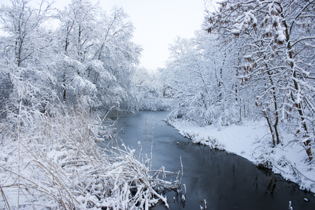 The river was covered with ice, winter, trees in the snowの写真素材