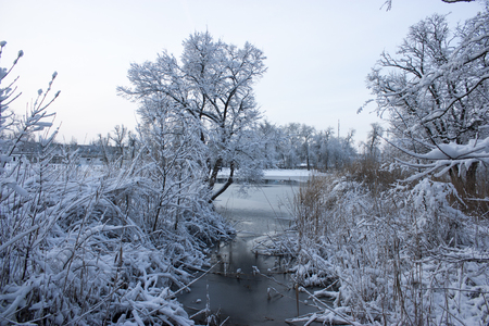 The river was covered with ice, winter, trees in the snowの写真素材