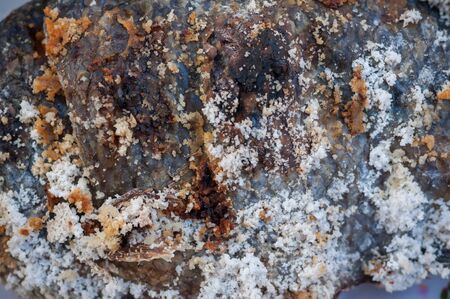 Close up Nile tilapia fish grilled salt body scale backgroundの写真素材