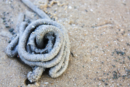 Pile of sand on the beachのeditorial素材