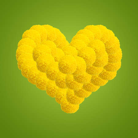 Flowers heart on green background.の写真素材