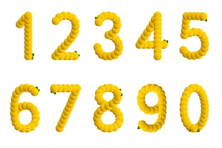 Alphabet from yellow flowers. Isolated on white background.