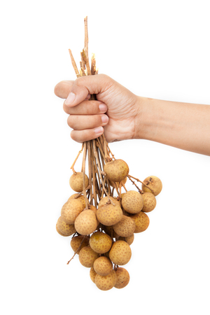 Longan freshly isolated on white background.の写真素材