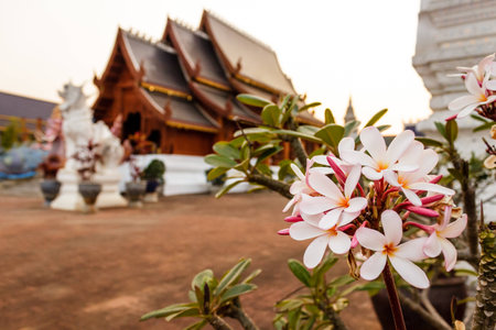Ban Den Temple in northern of thailandの写真素材