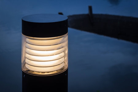 lamp in park with reservoir at nightの写真素材