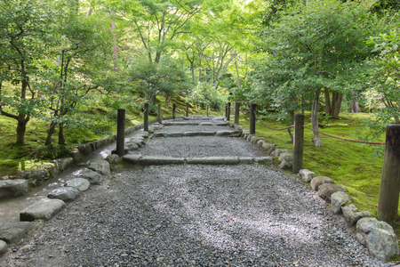 Tenryu-ji is name of temple.のeditorial素材