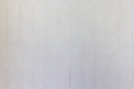 Japanese door style abstract background and texture