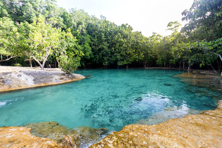 Emerald Pool at Krabi, Thailandの写真素材