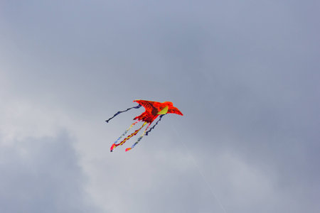 The kite flying in the sky with rain clouds