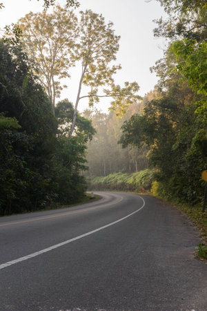 Empty road in suburban in Thailandの写真素材