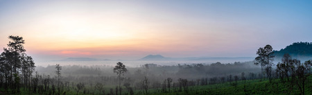 panoramic landscape beautiful mountain on sunrise background and nature mist on forest , panorama...