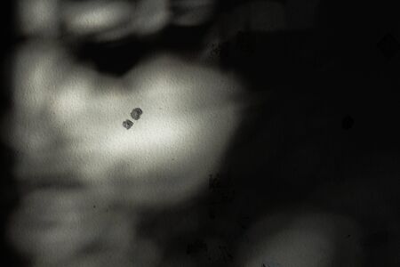 background,の写真素材