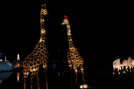 two giraffe Amazing Lantern  @ Hat Yai Songkha Thailandのeditorial素材
