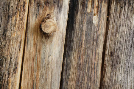 Old wooden backgroundの写真素材