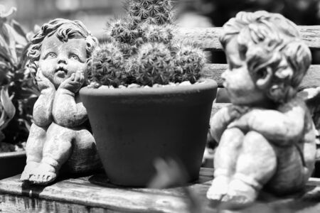 Twin cupid in the garden,made color black and white  ,background blurの写真素材