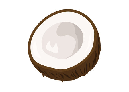 Coconut slice. Simple flat illustration.のイラスト素材
