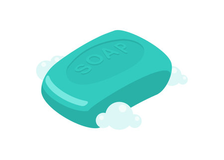 Soap bar. Simple flat illustration in isometric view.のイラスト素材