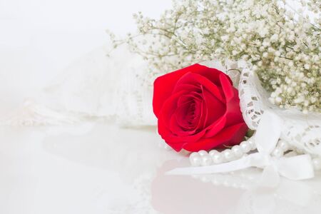 Close up of red roses on white background.の写真素材