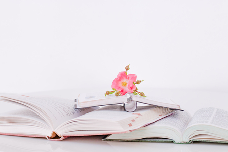 Open books with flowers in the morning, Vintage toneの写真素材
