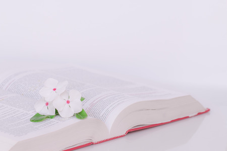 Open book with flowers in the morning, Vintage tone.