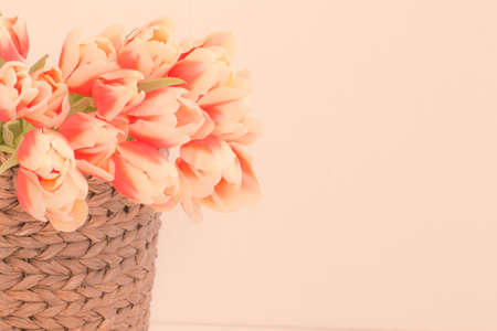 Close up of red tulips in wicker basket.の写真素材