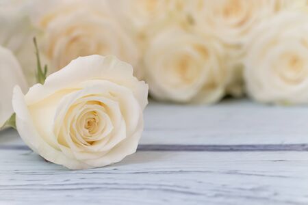 Close up of a beautiful white rose on wood table.の写真素材