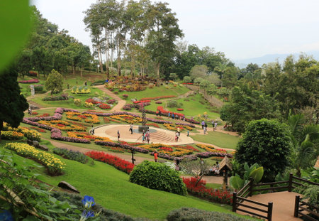 Doi Tung Development Projectの写真素材