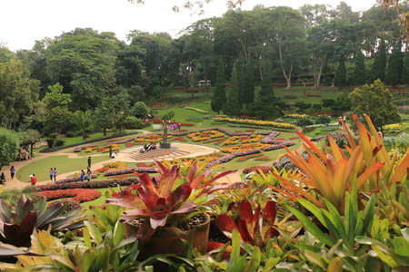 Doi Tung Development Projectの写真素材