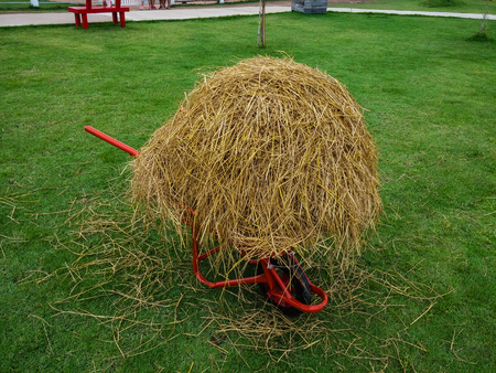 The straw in the red wheelbarrowの写真素材