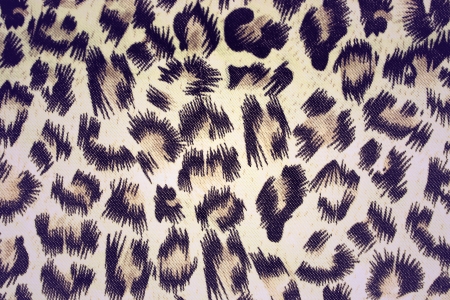 leopard fur pattern clothの写真素材