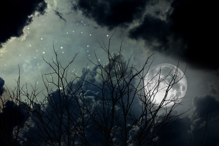 full moon and died treesの写真素材