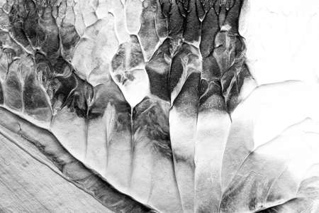 black white abstract acrylic painting color texture on white paper background by using rorschach inkblot methodの写真素材