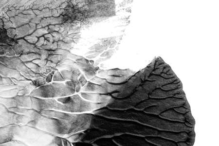 black white abstract acrylic painting color texture on white paper background by using rorschach inkblot methodの写真素材