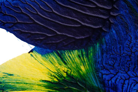 blue green yellow abstract acrylic painting color texture on white paper background by using rorschach inkblot methodの写真素材