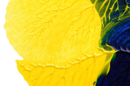 blue green yellow abstract acrylic painting color texture on white paper background by using rorschach inkblot methodの写真素材
