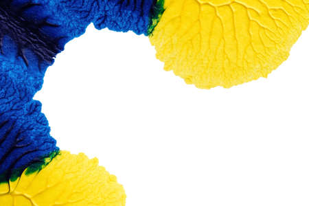 blue green yellow abstract acrylic painting color texture on white paper background by using rorschach inkblot methodの写真素材