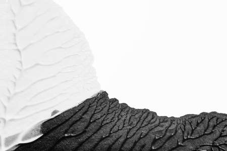 black white abstract acrylic painting color texture on white paper background by using rorschach inkblot methodの写真素材