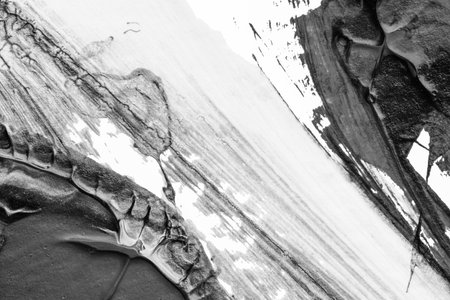 black white abstract acrylic painting color texture on white paper background by using rorschach inkblot methodの写真素材