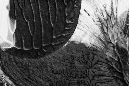 black white abstract acrylic painting color texture on white paper background by using rorschach inkblot methodの写真素材