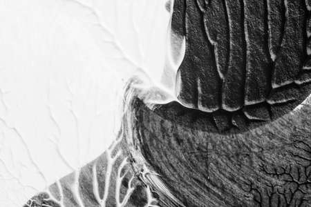 black white abstract acrylic painting color texture on white paper background by using rorschach inkblot methodの写真素材
